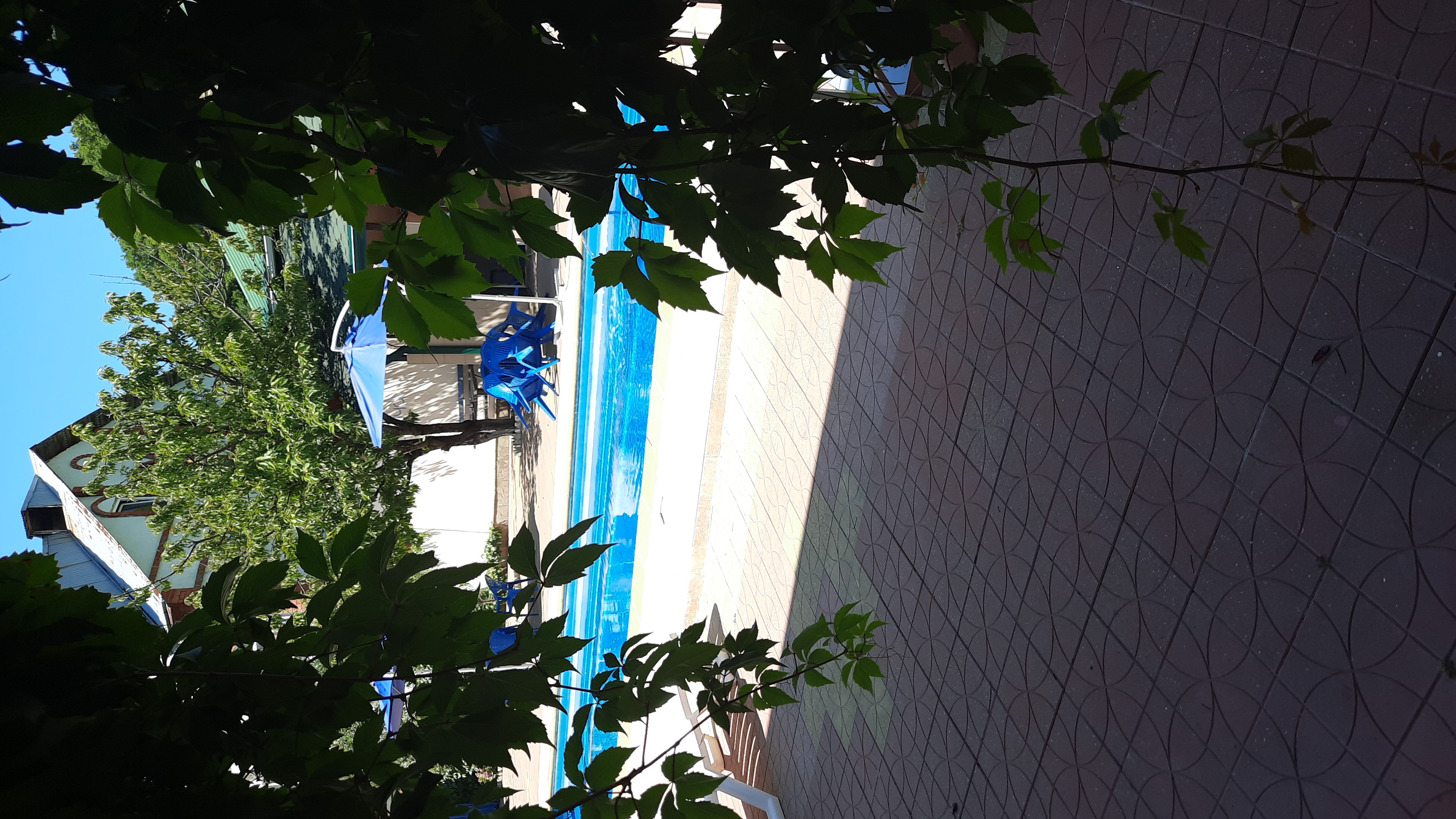 Фото У Петровича