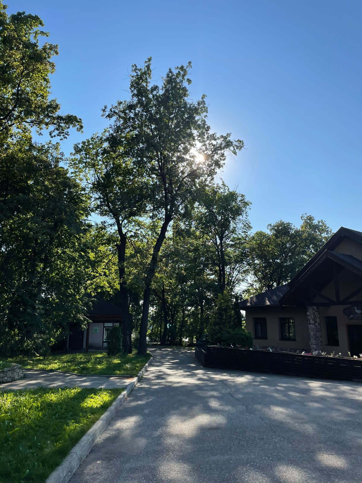 Фото Лесной