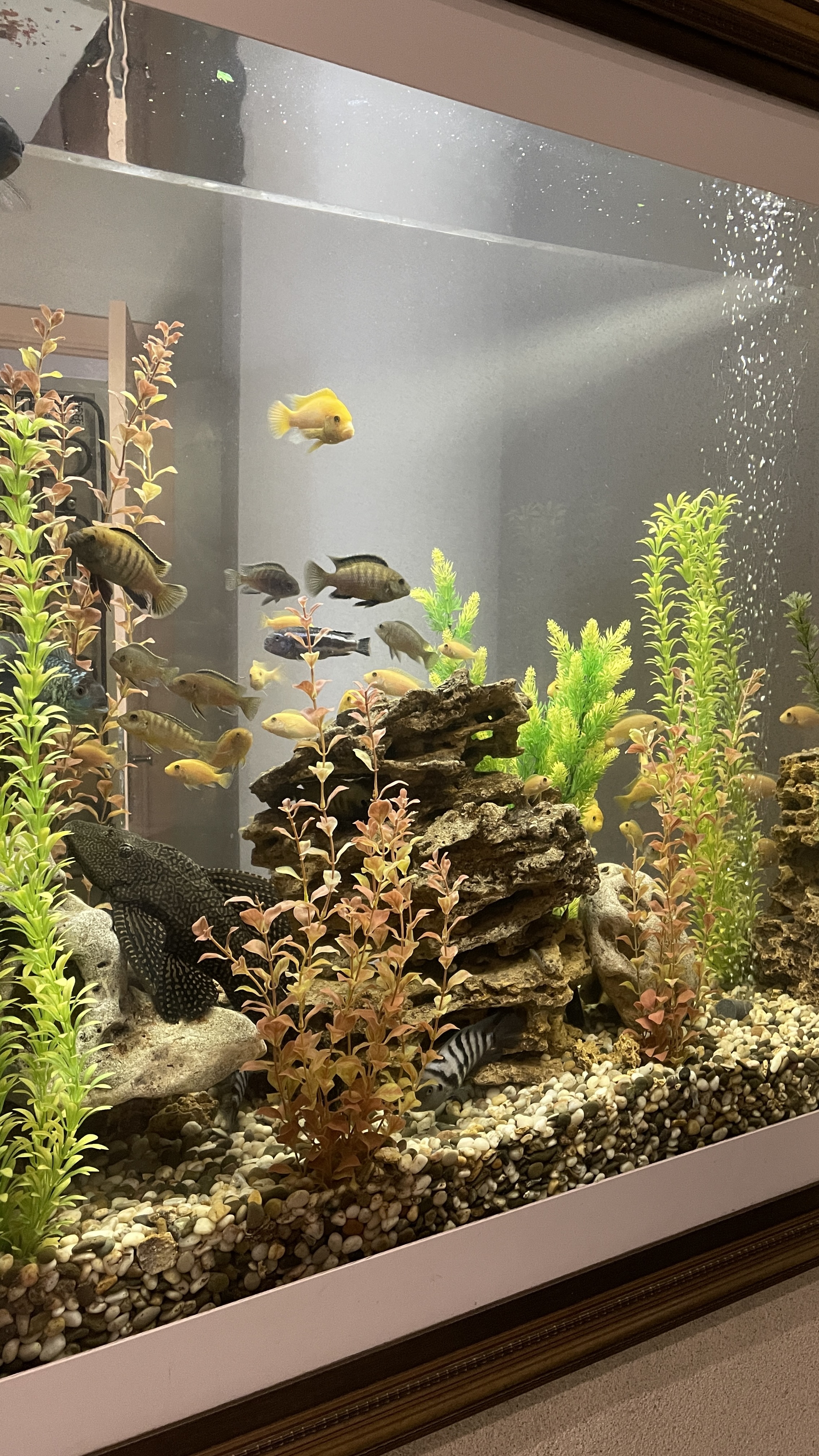 Фото У фонтана