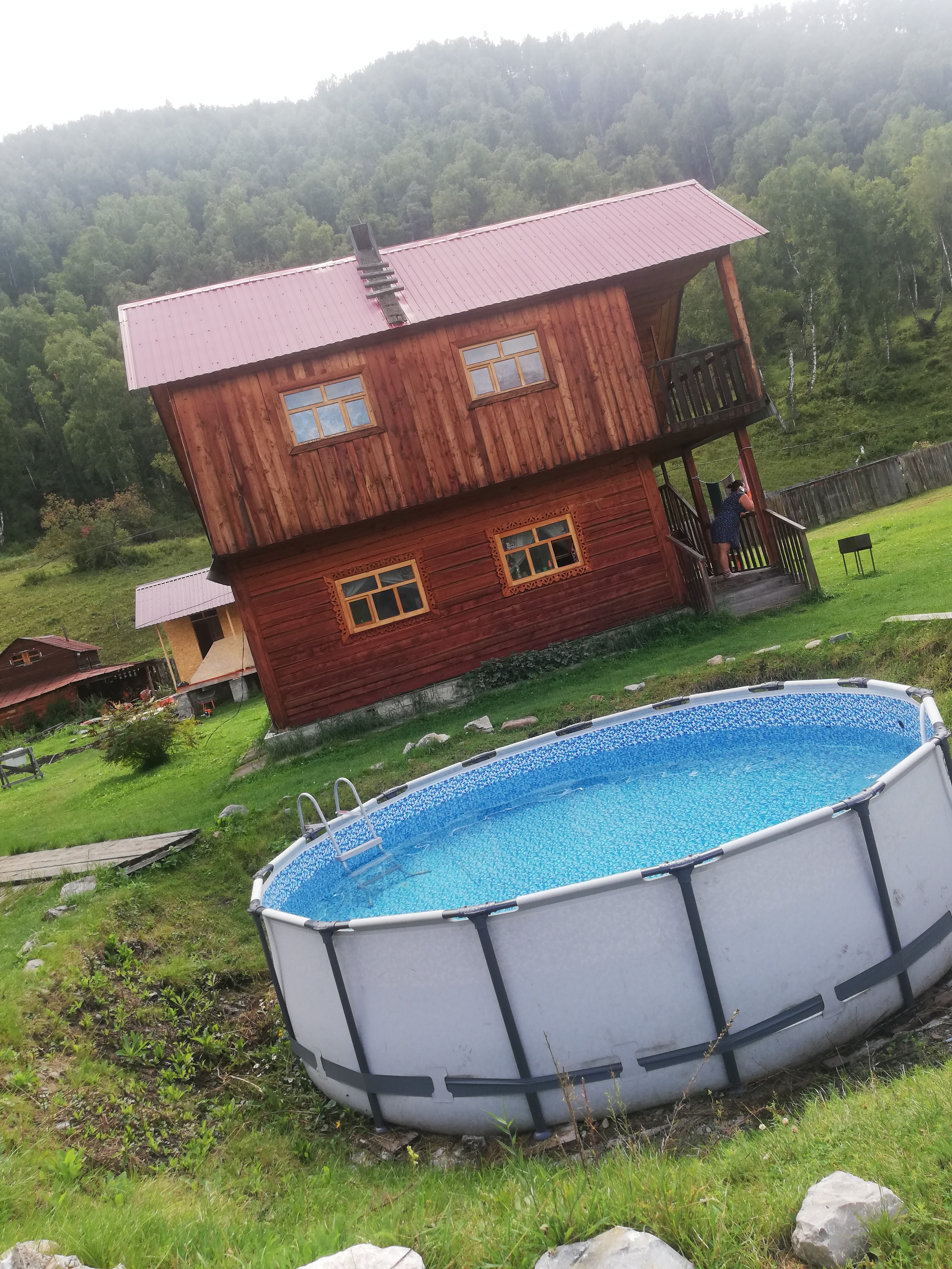 Фото Золотая пчела