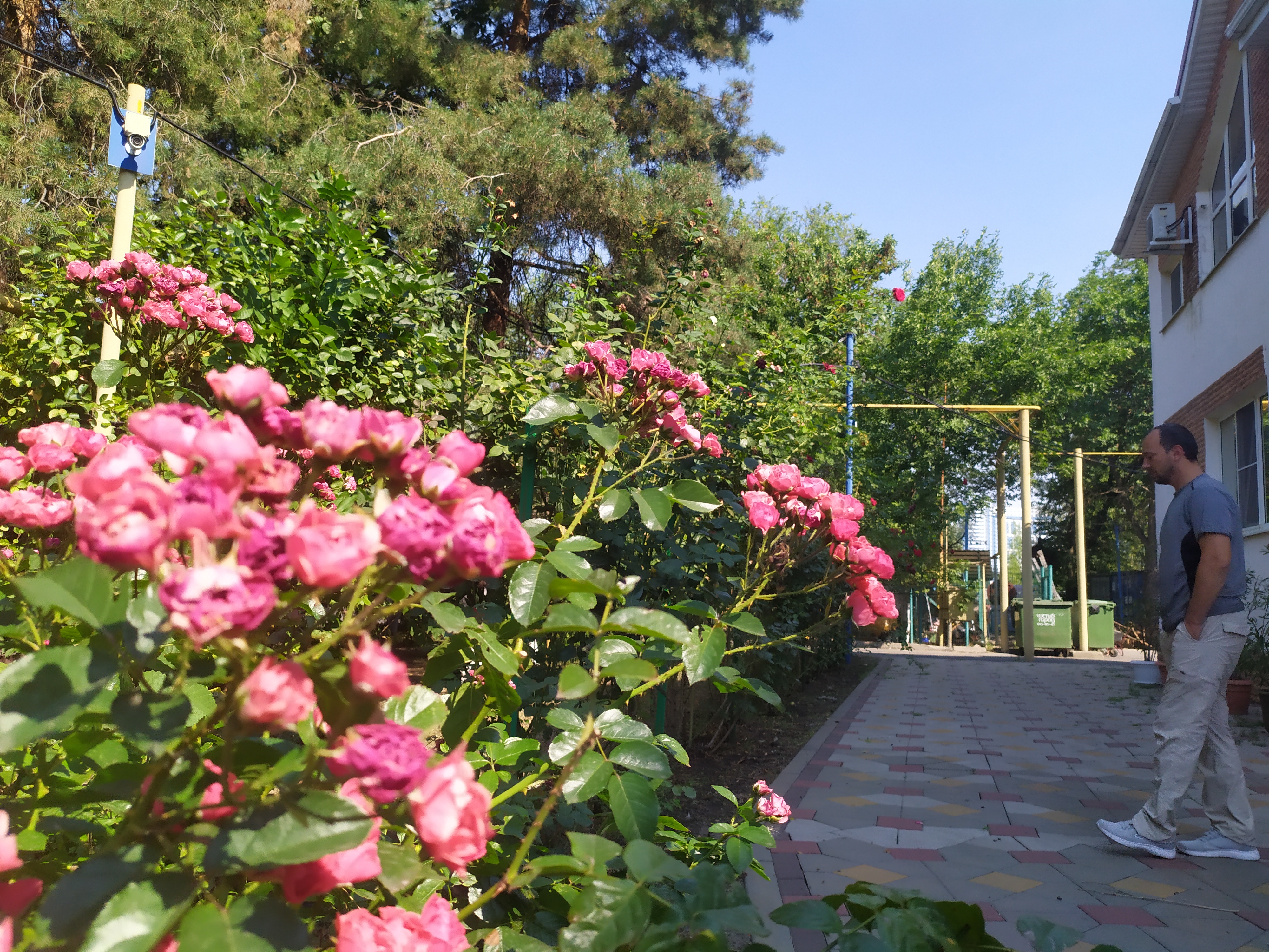 Фото Голубая Волна