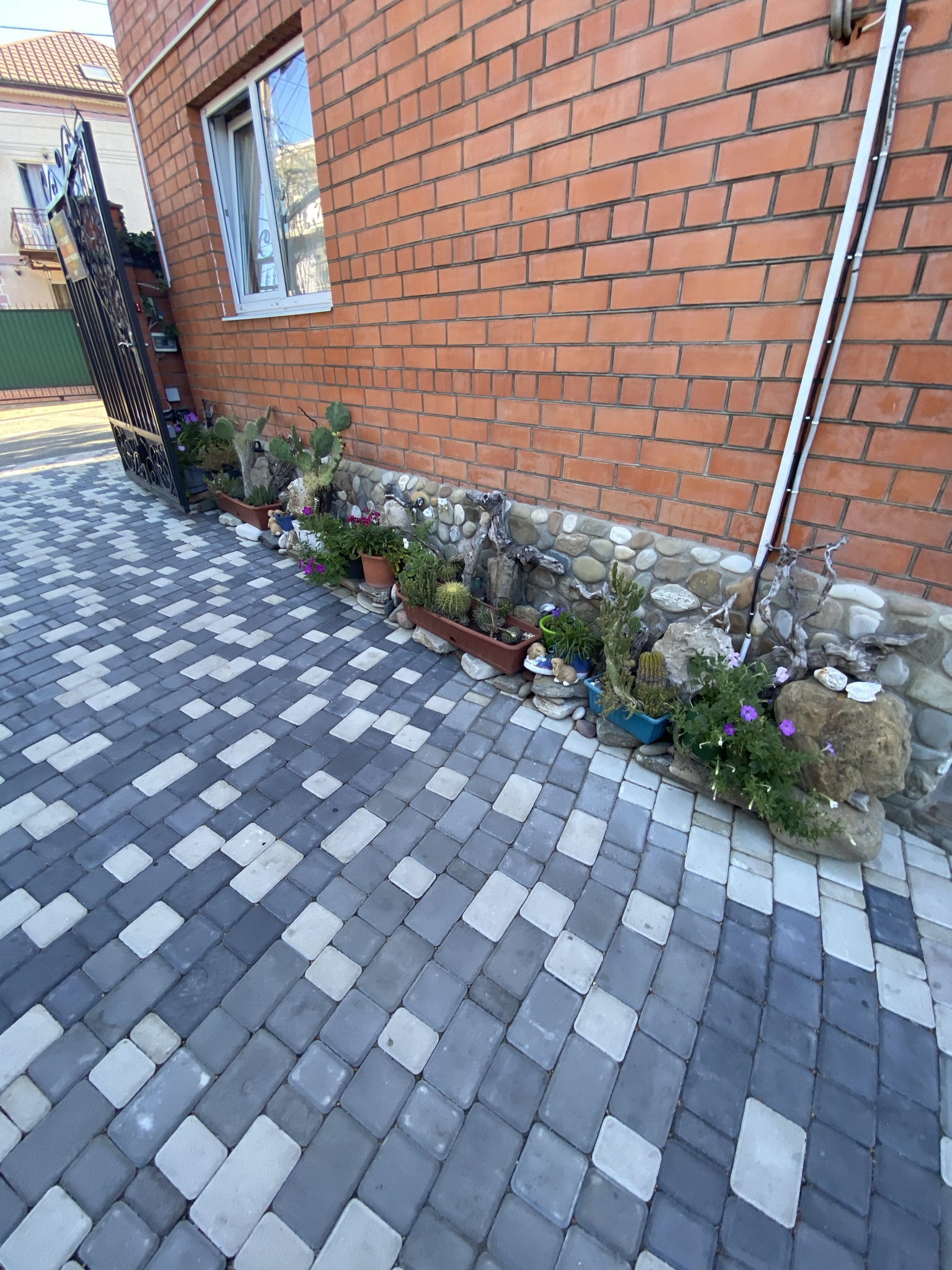 Фото Березы