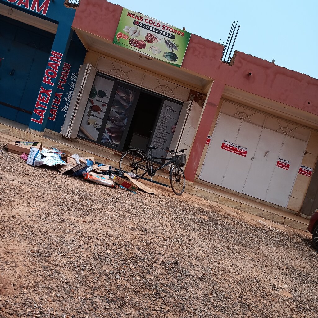 Frozen food products Nene cold store, Earth, photo