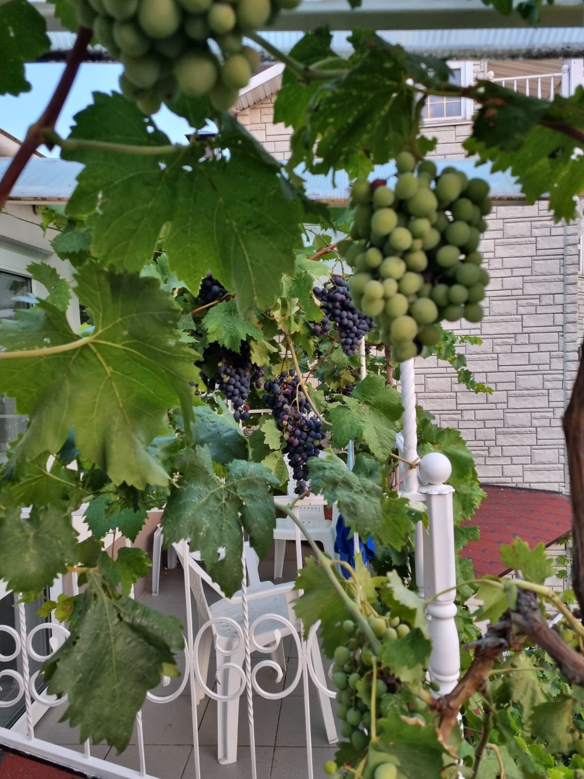 Фото Гостевой дом на Украинской