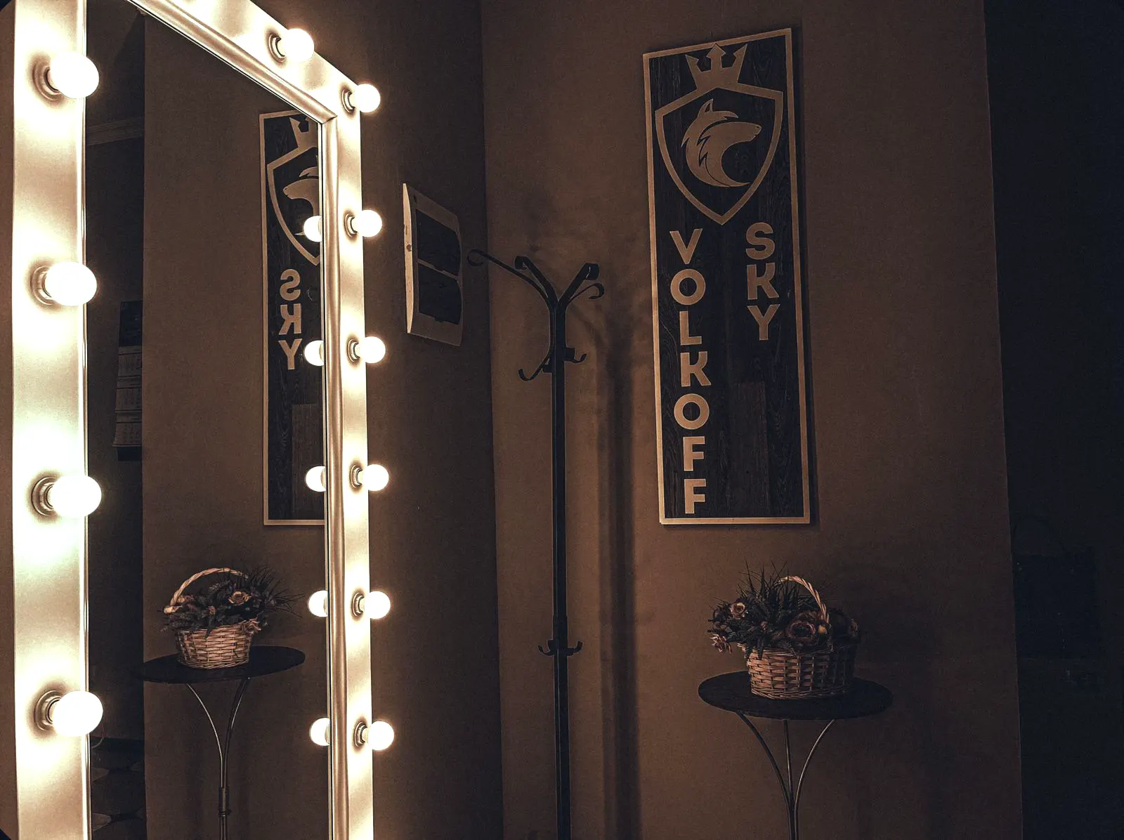 Фото Волков Скай