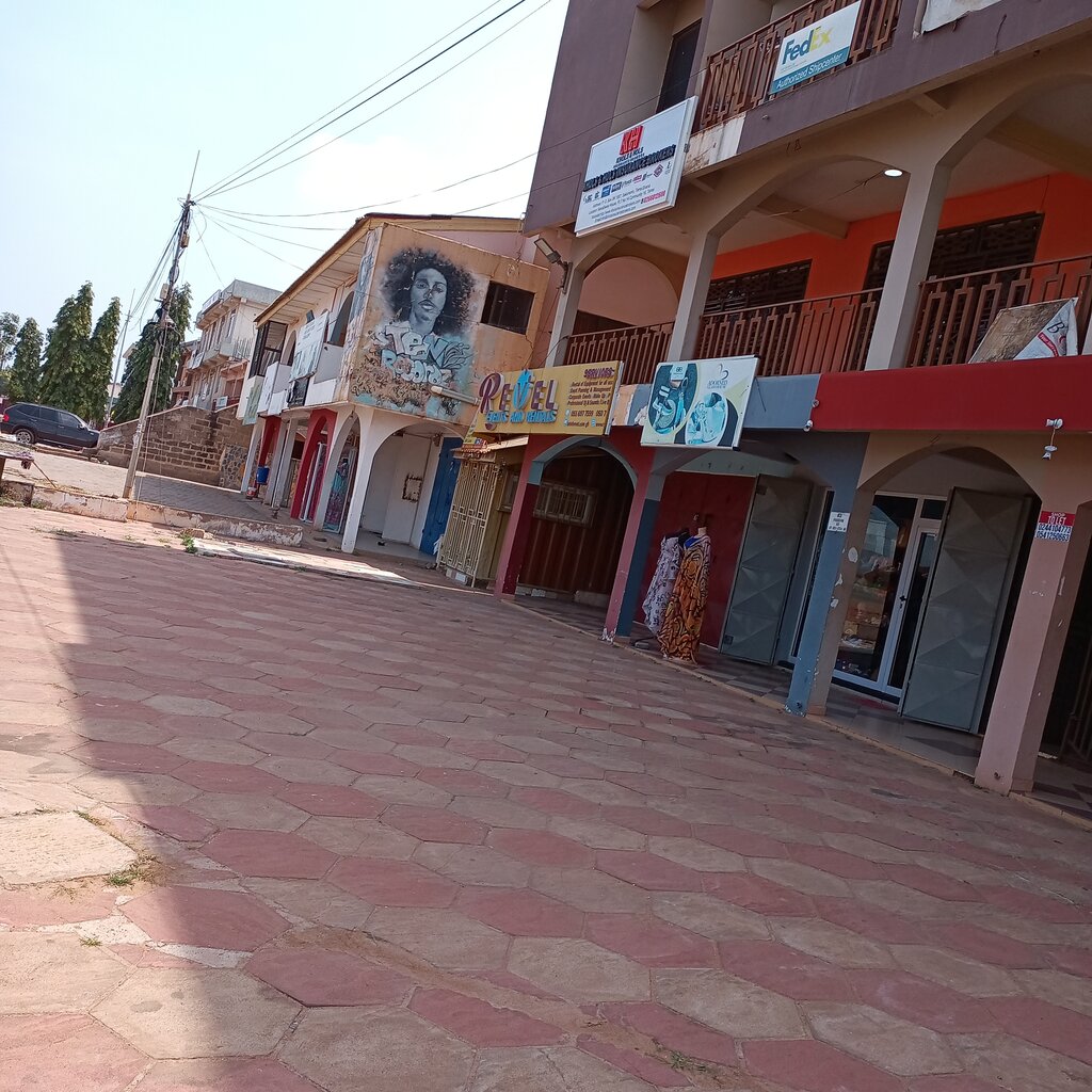 Organization of events Revel Events, Earth, photo