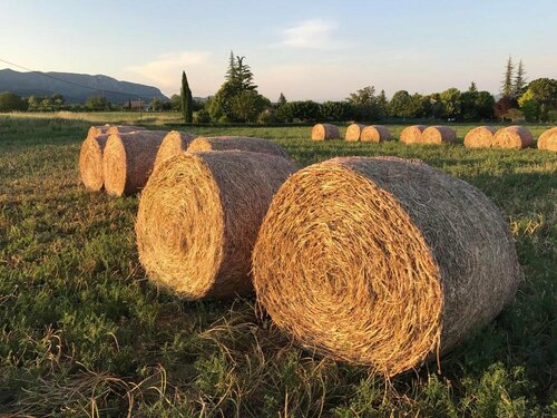 Гостиница Cadarache Manosque Résidence avec Piscine в Маноске