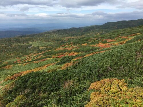 Гостиница Hotel Route Inn Asahikawa Ekimae Ichijo Dori в Асахикаве