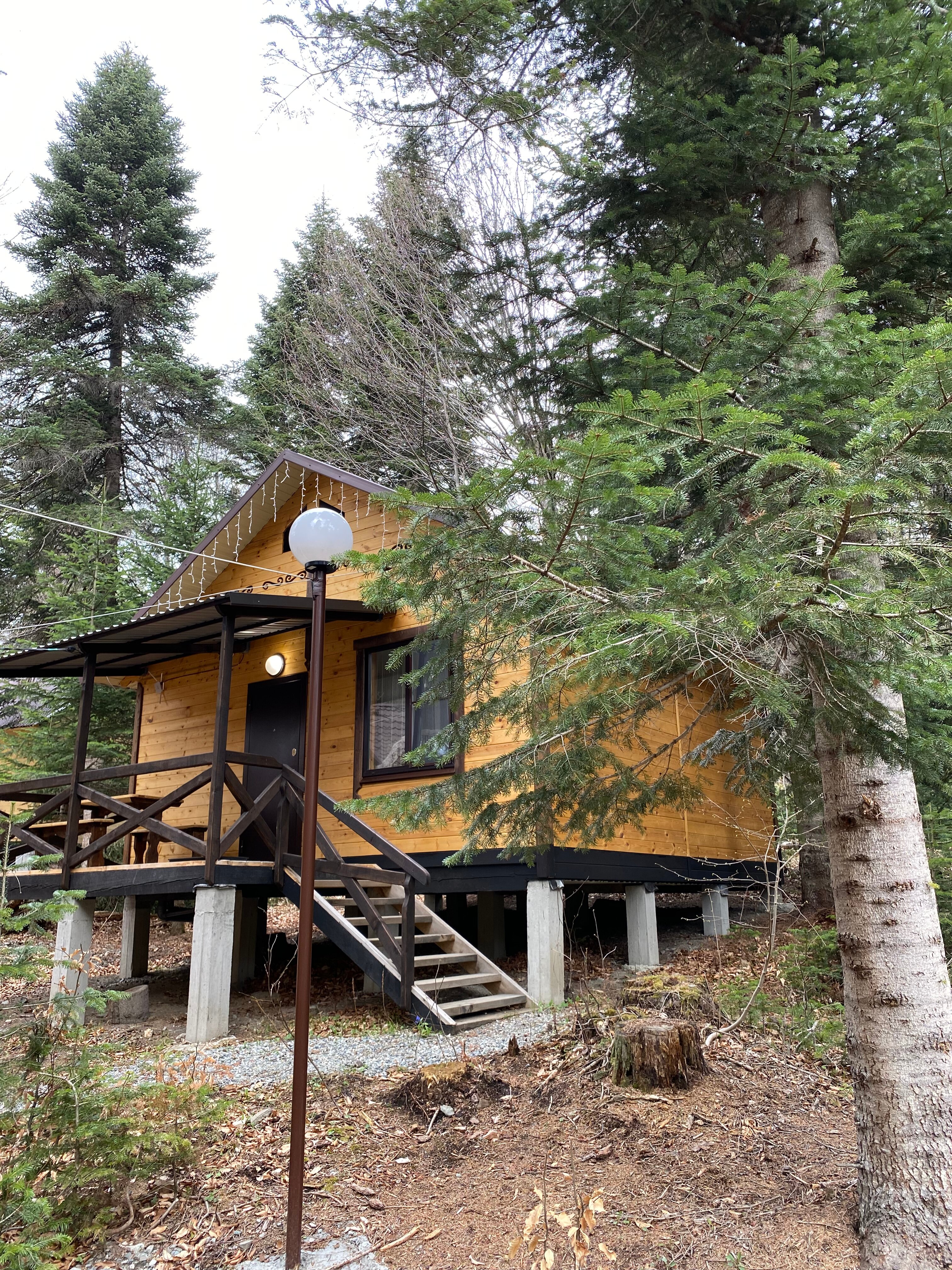 Фото Тур-домики Поляна Зубров