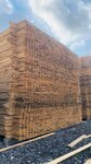 Germes forest (derevnya Sobolikha, Novoslobodskaya ulitsa, 19А), lumber