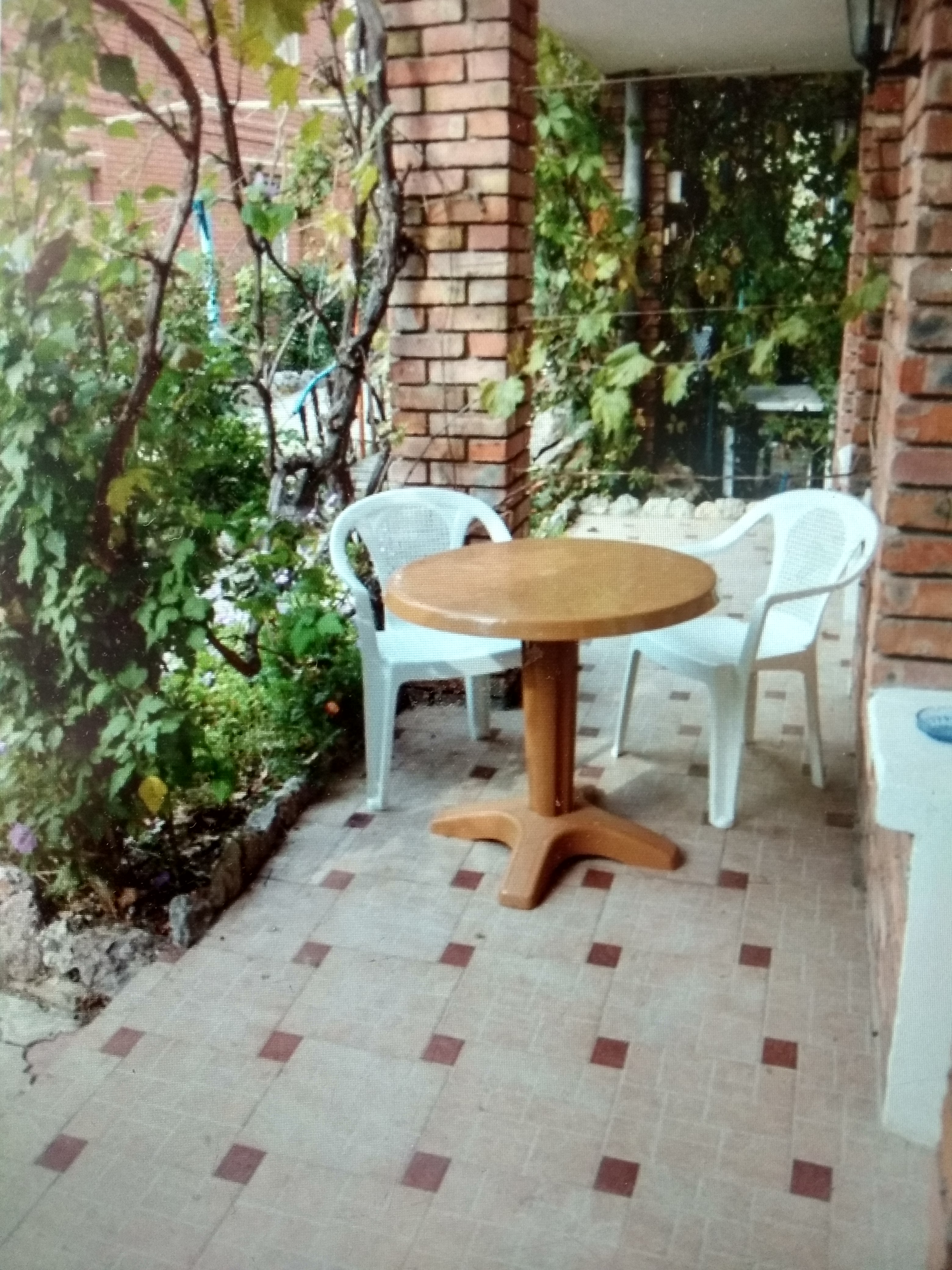 Фото Экзотик