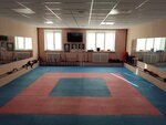 Okinawa Goju-Ryu Karate (Ivana Susanina Street, 33), sports school