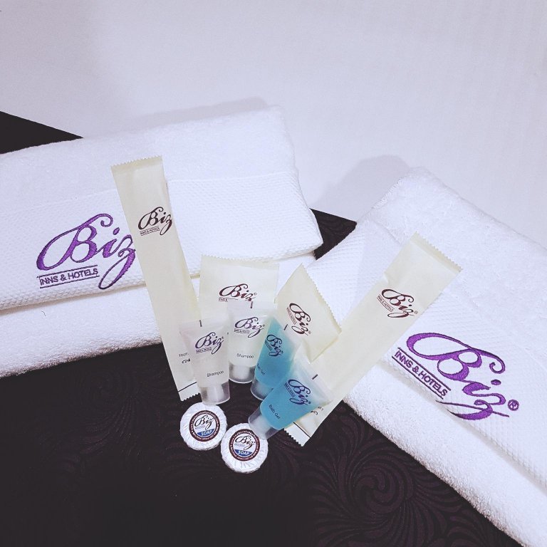 Фото Biz Hotel