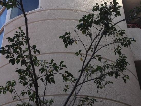 Фото Best Western Plus Suites Hotel Coronado Island