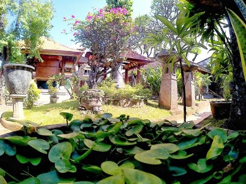 Фото Surf Doggie Inn