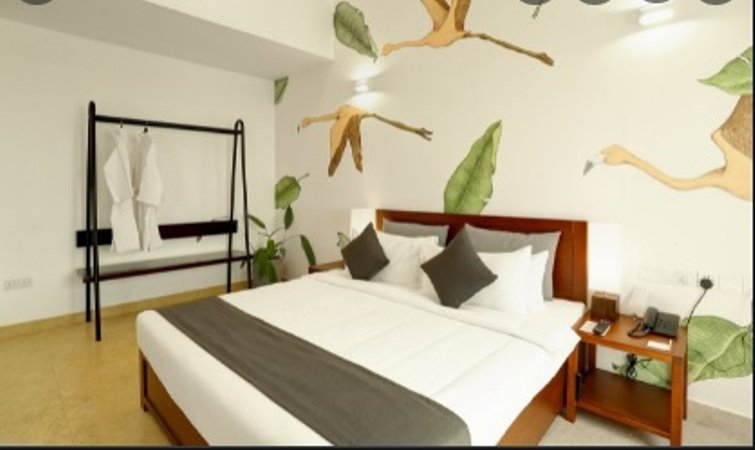 Фото Morven Colombo