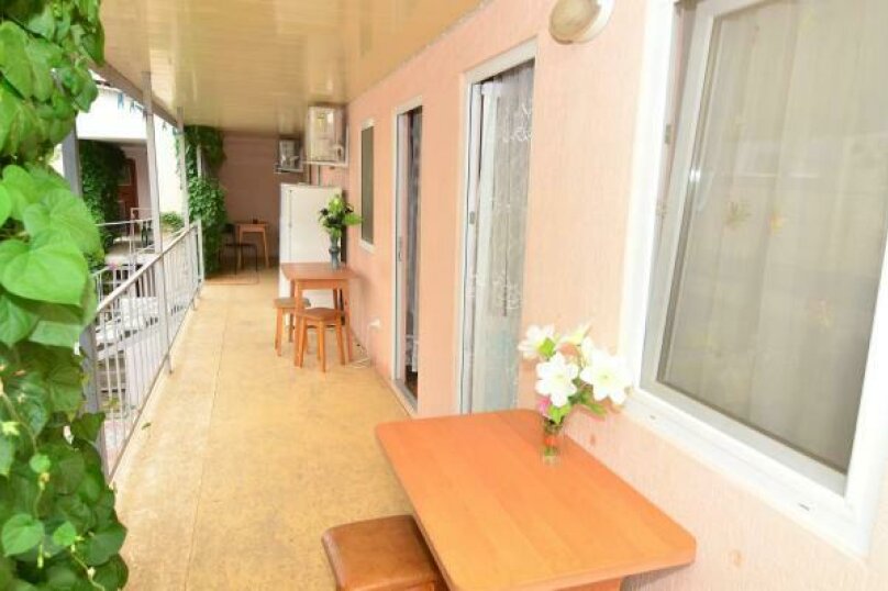 Фото Ласточка