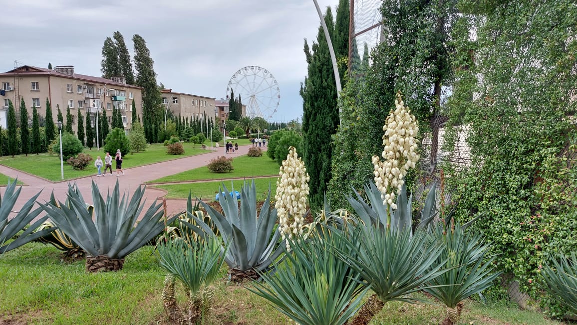 Фото Апсилаа