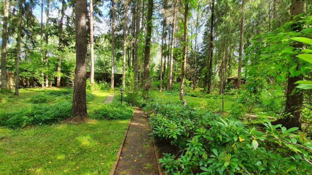 Фото Wish Seliger