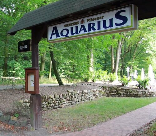 Гостиница Hotel Aquarius Braunschweig