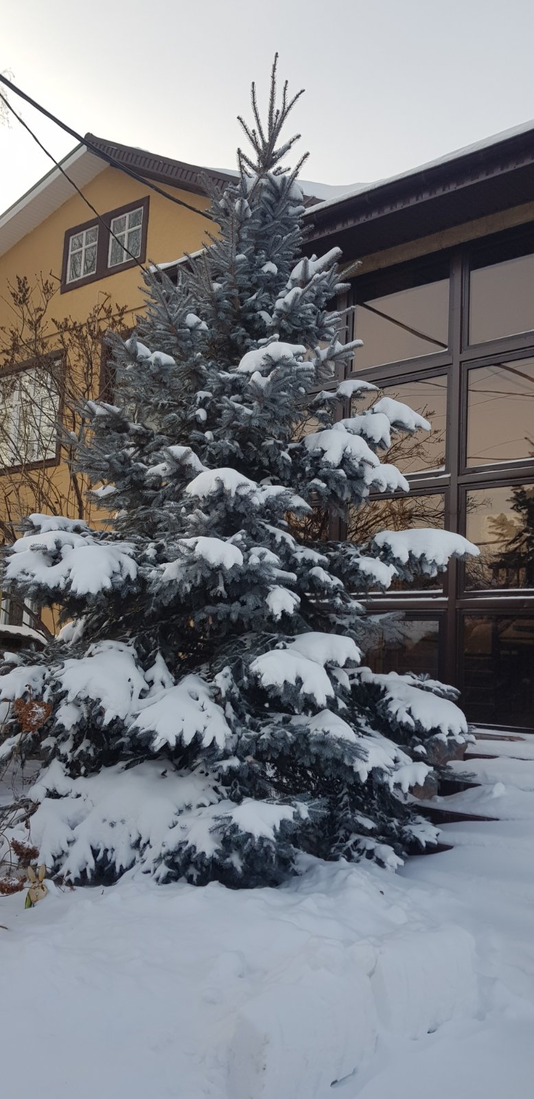 Фото Мелодия Жигулей