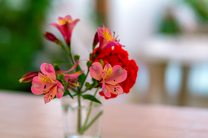 Фото Hometel iLana