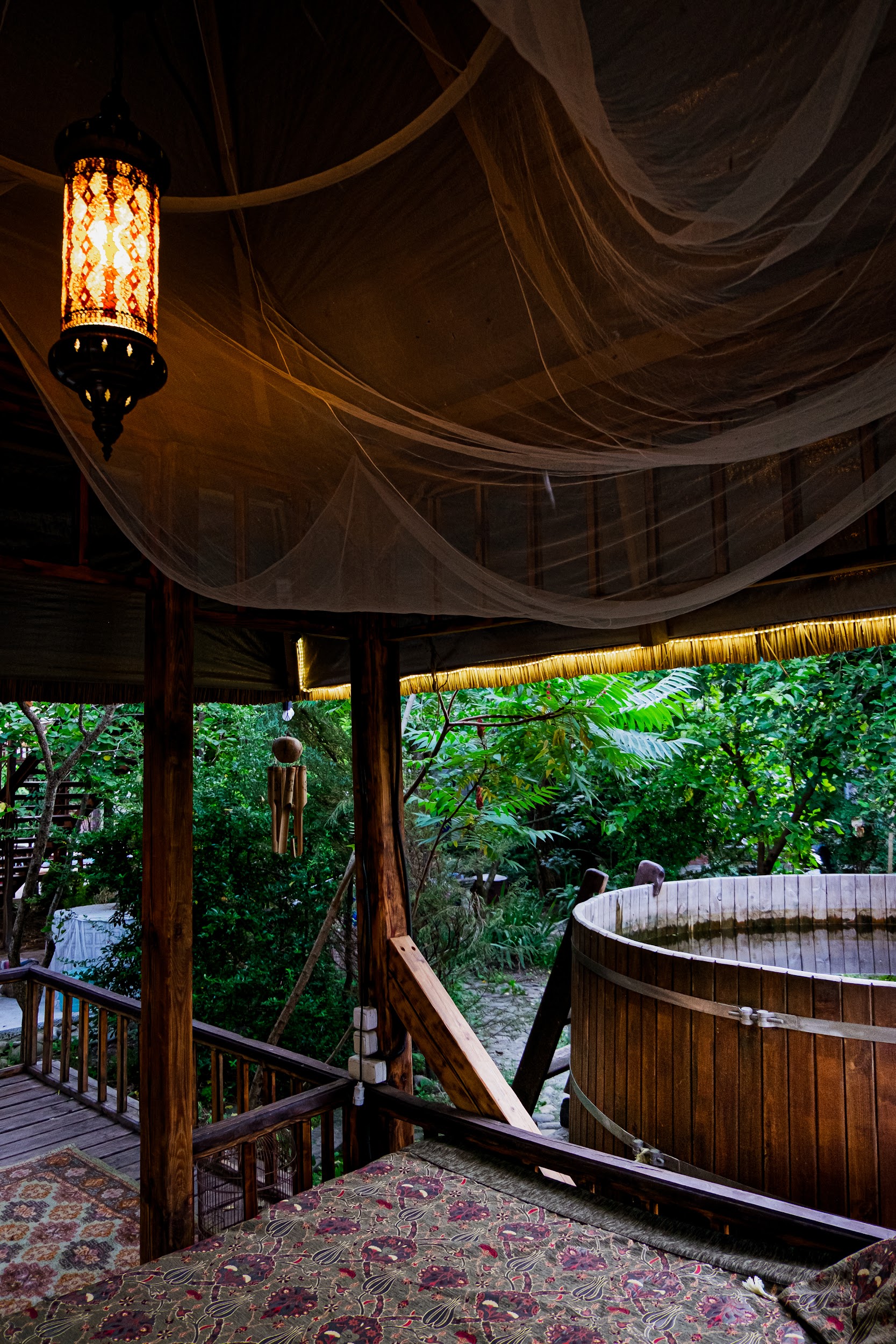 Фото Курочка Ряба