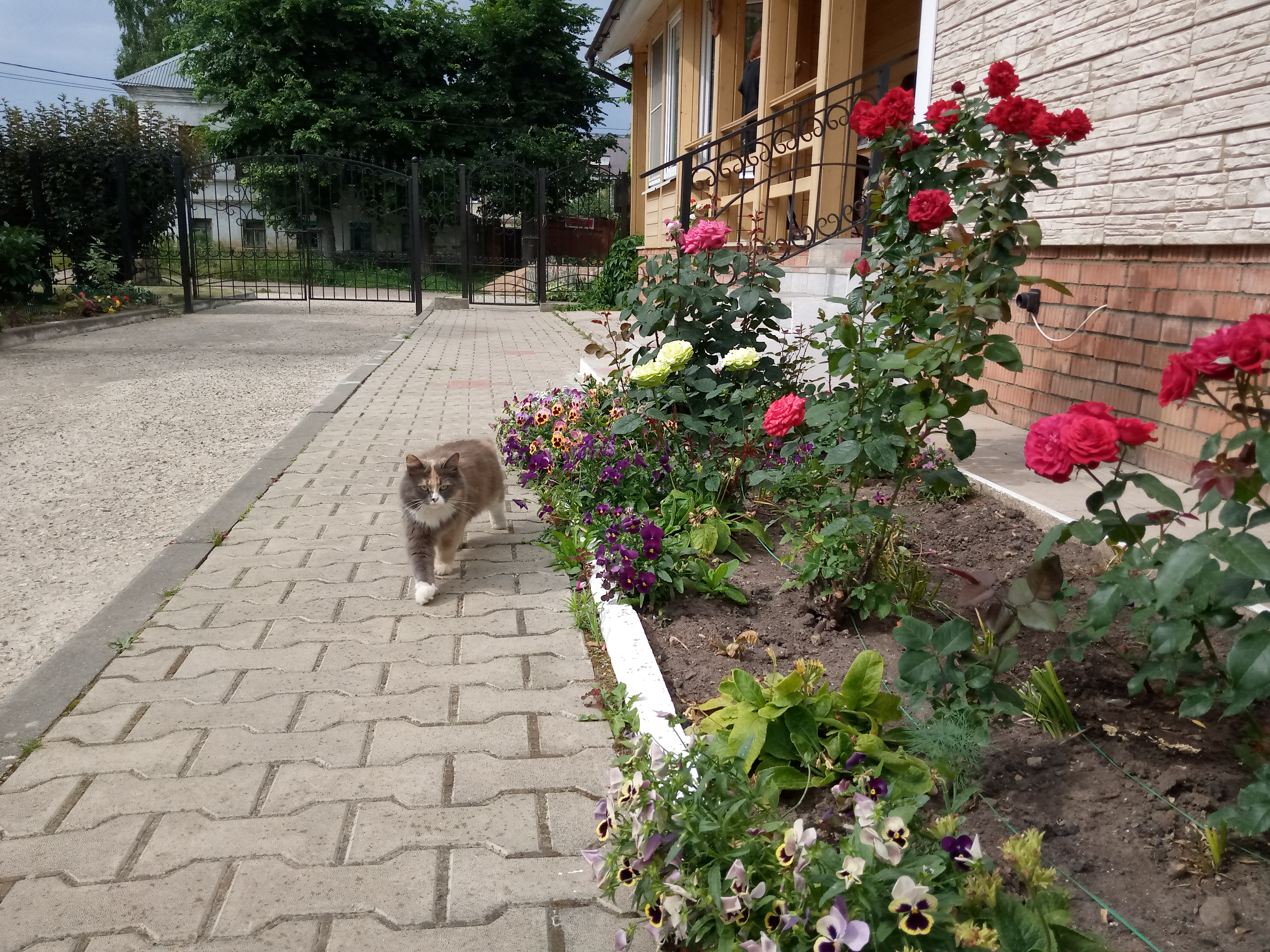 Фото Дом на Гражданской