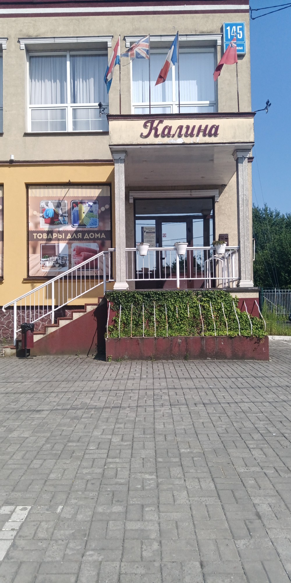 Фото Калина