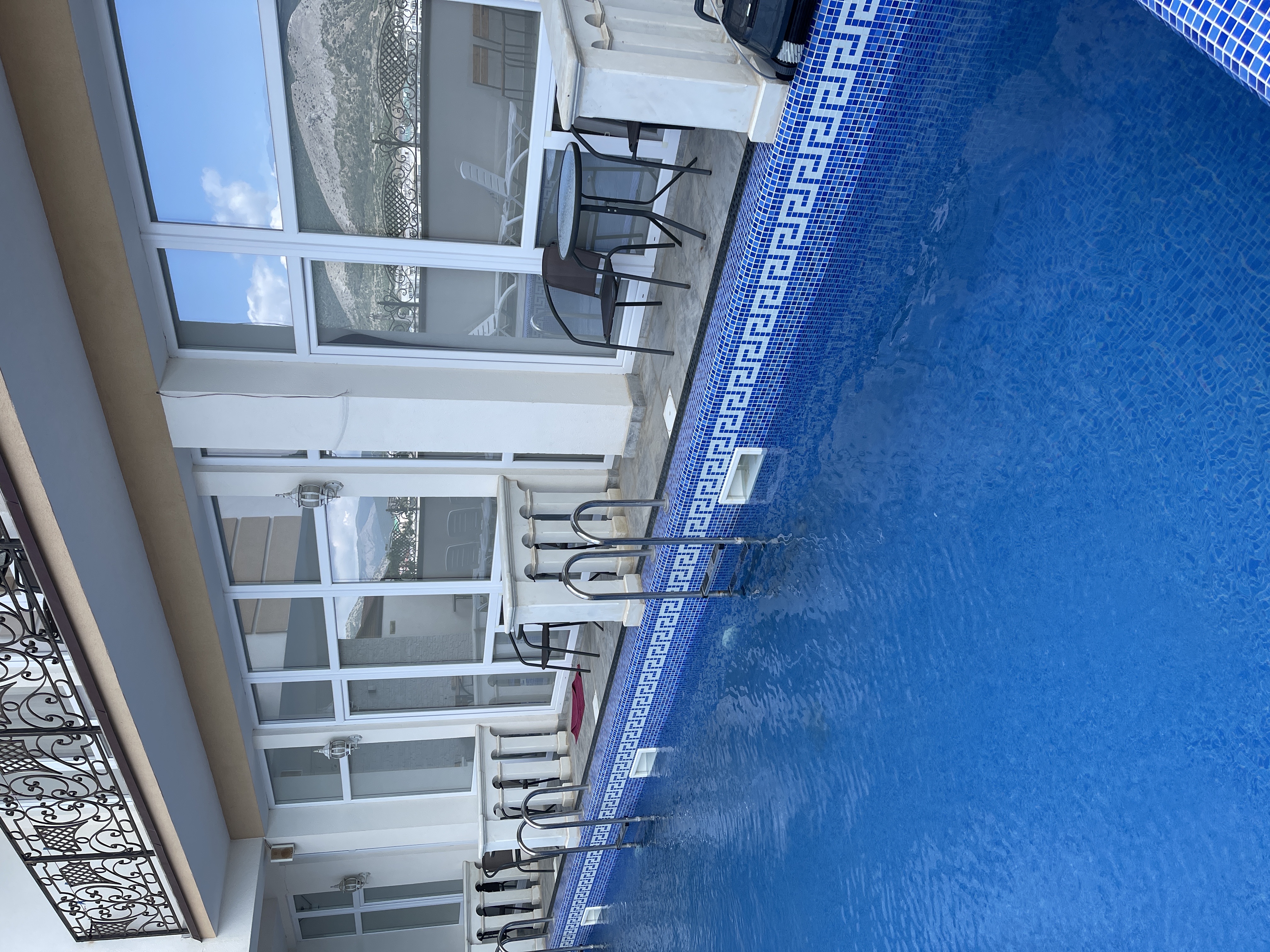 Фото Белый лев