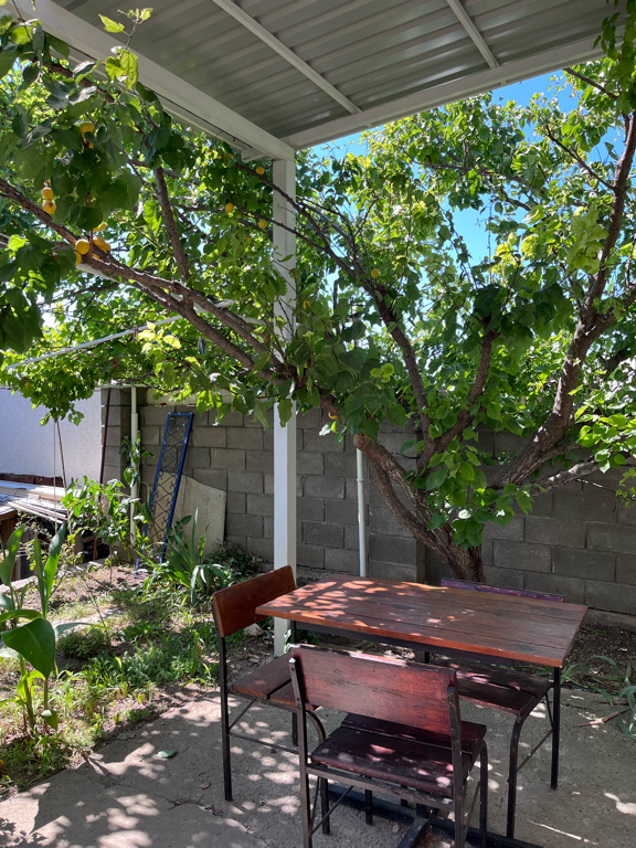 Фото Ребекка