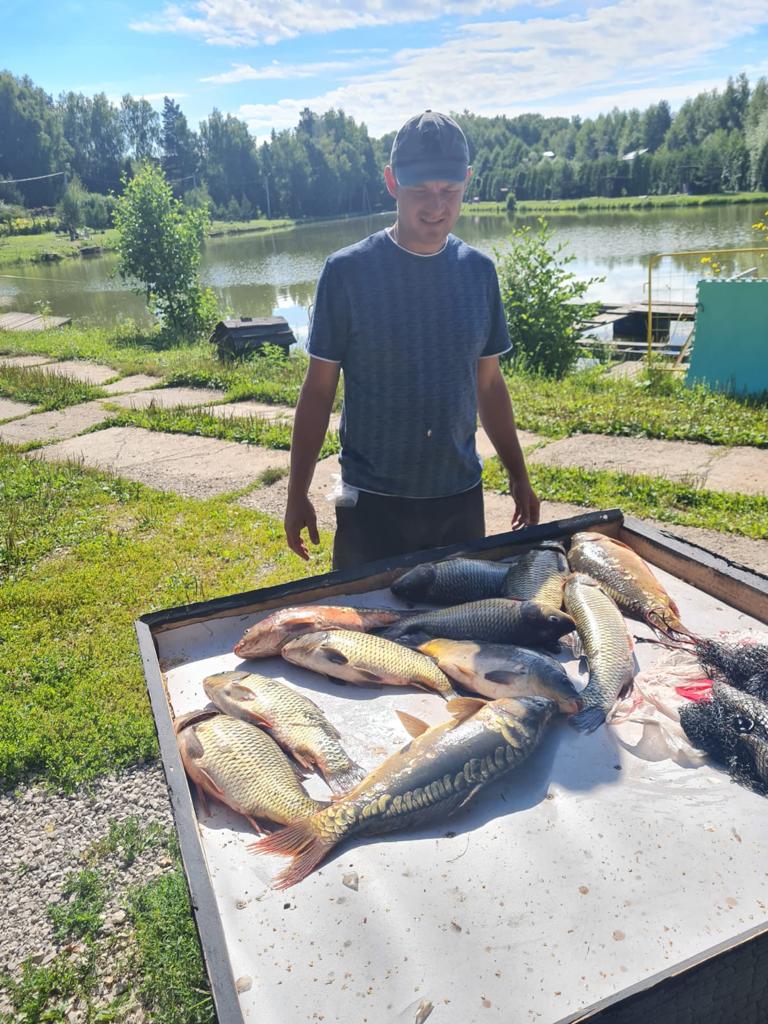 Фото Еду в гости