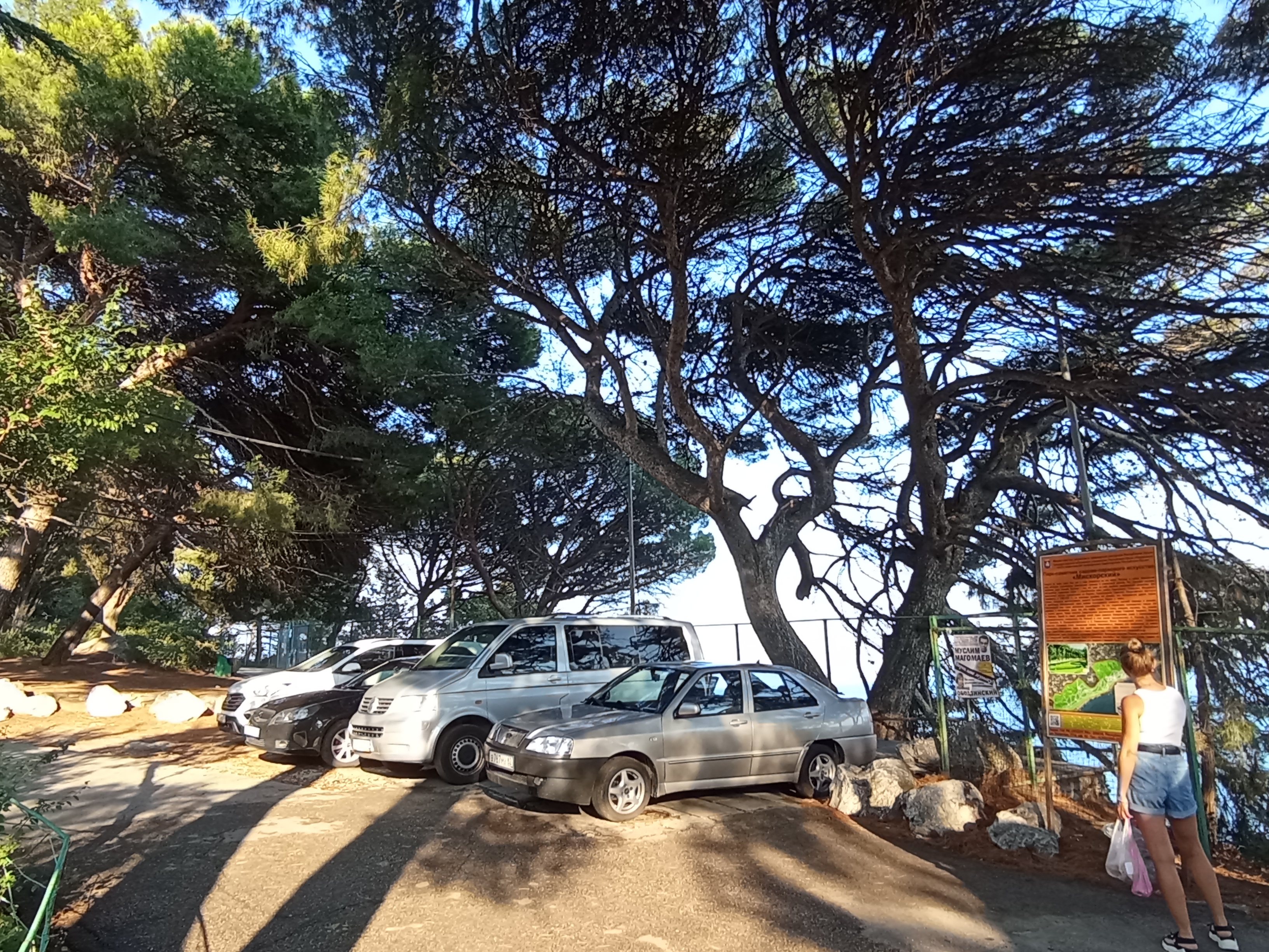 Фото Мисхорский парк