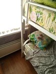 Prime (Internatsionalnaya ulitsa, 29), hostal