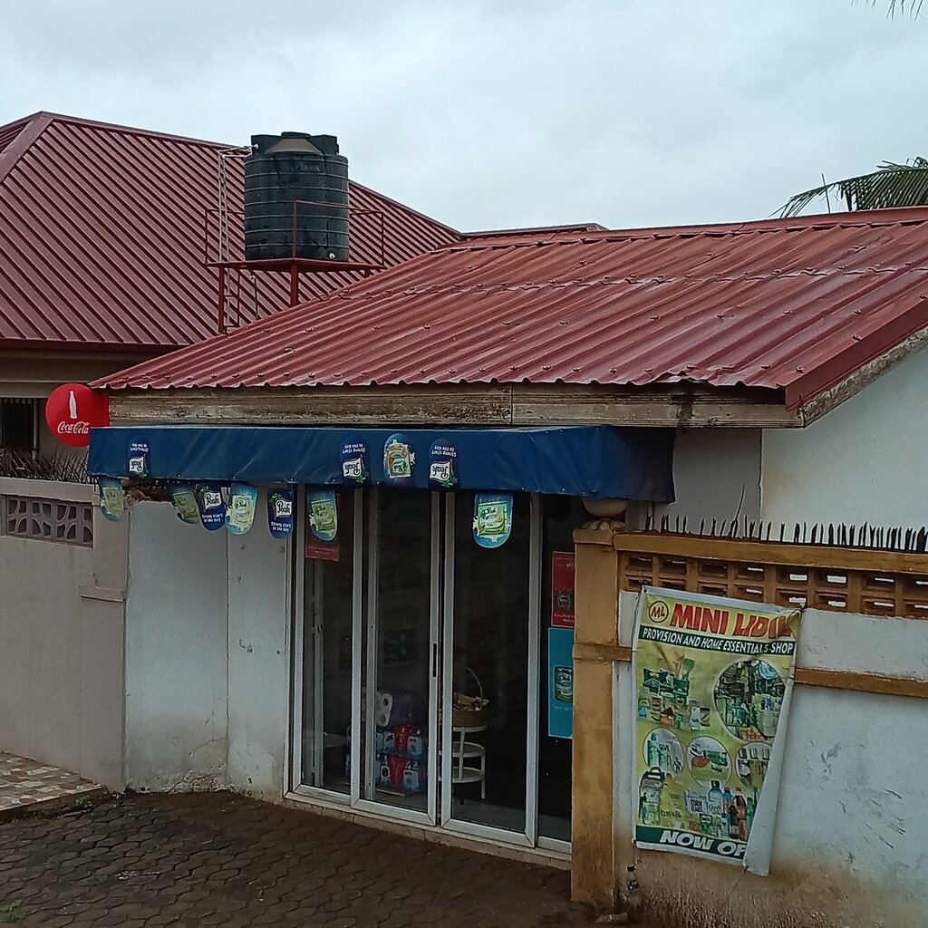 Grocery Mini lidil, Earth, photo