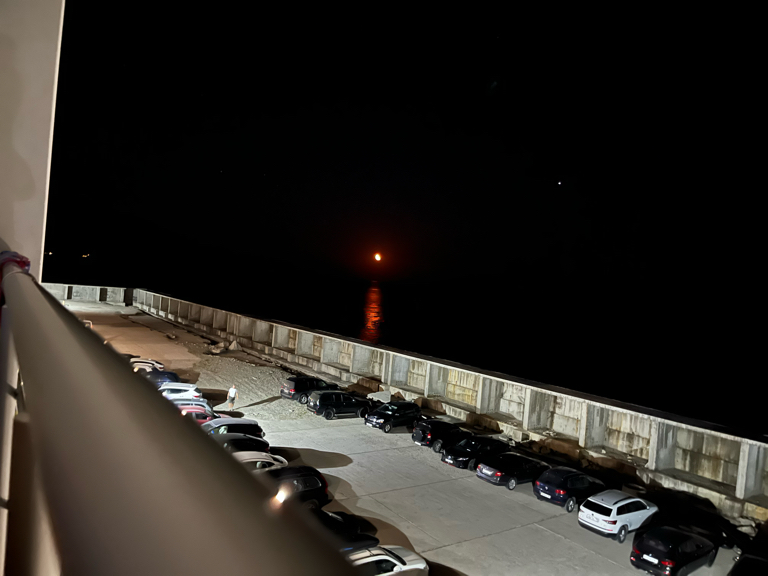 Фото Наутилус