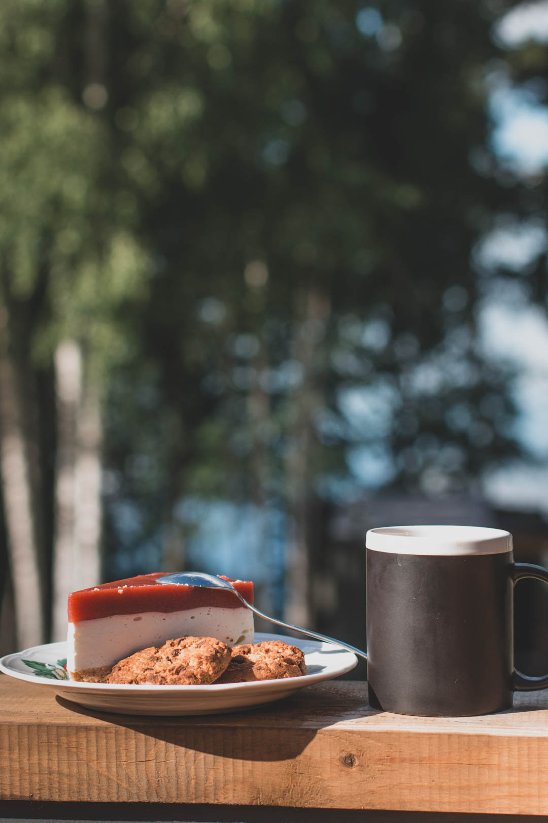 Фото Высокий берег