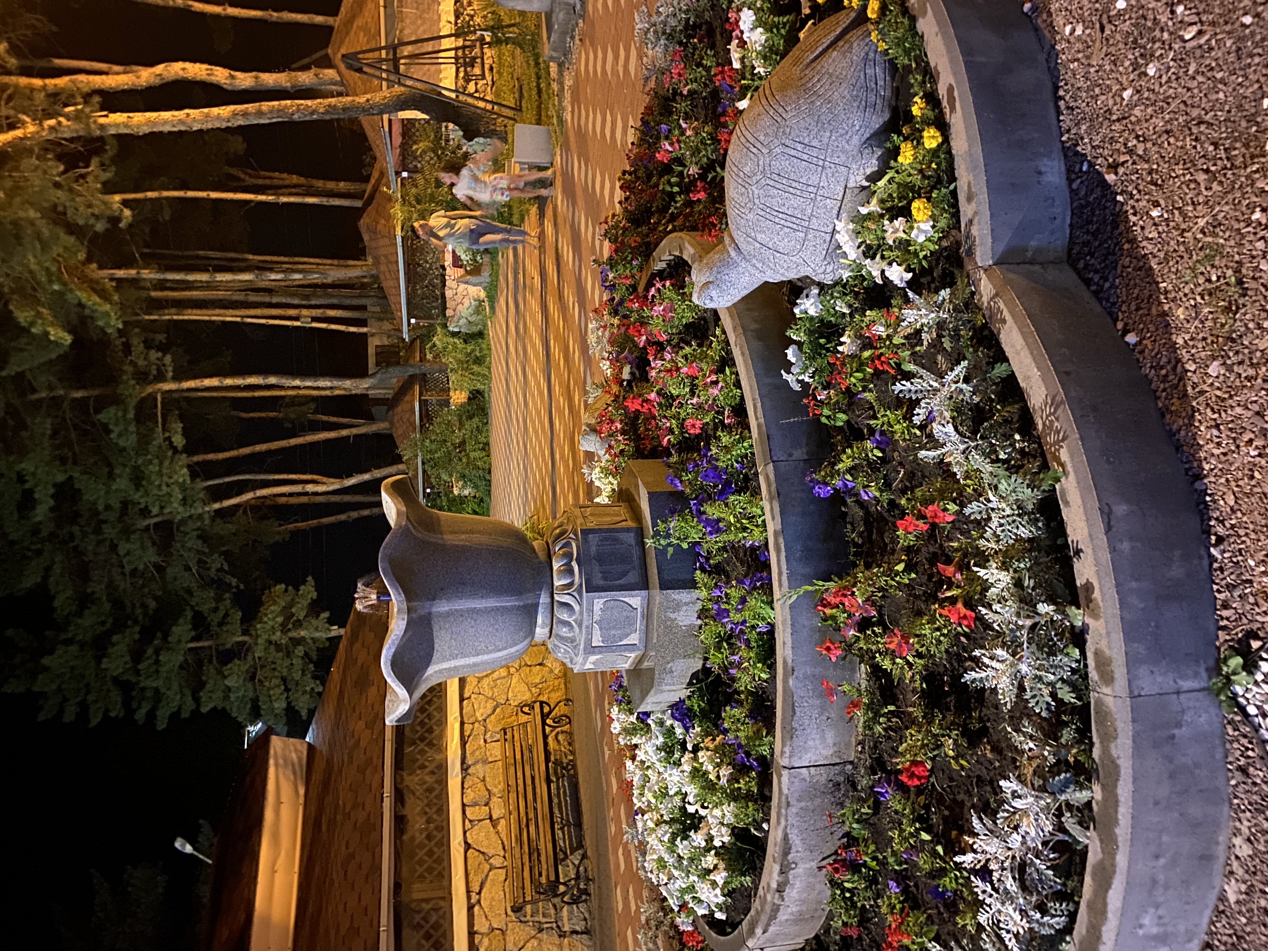 Фото Санлайт