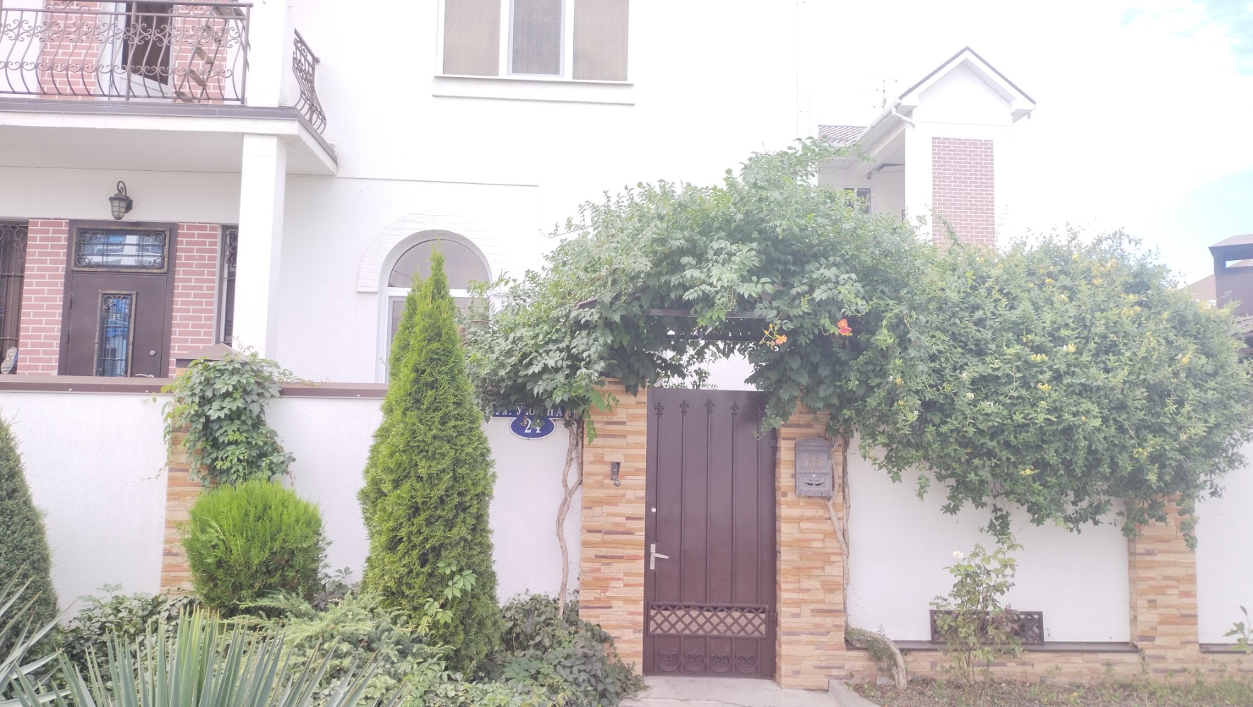 Фото Стефания