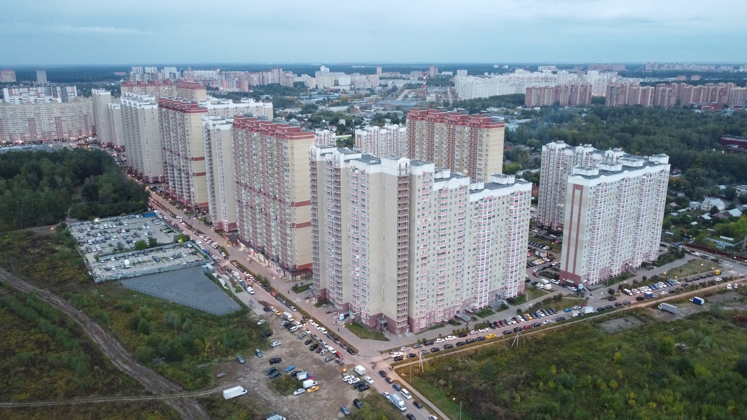 Шашты кискалардың фотосуреттері