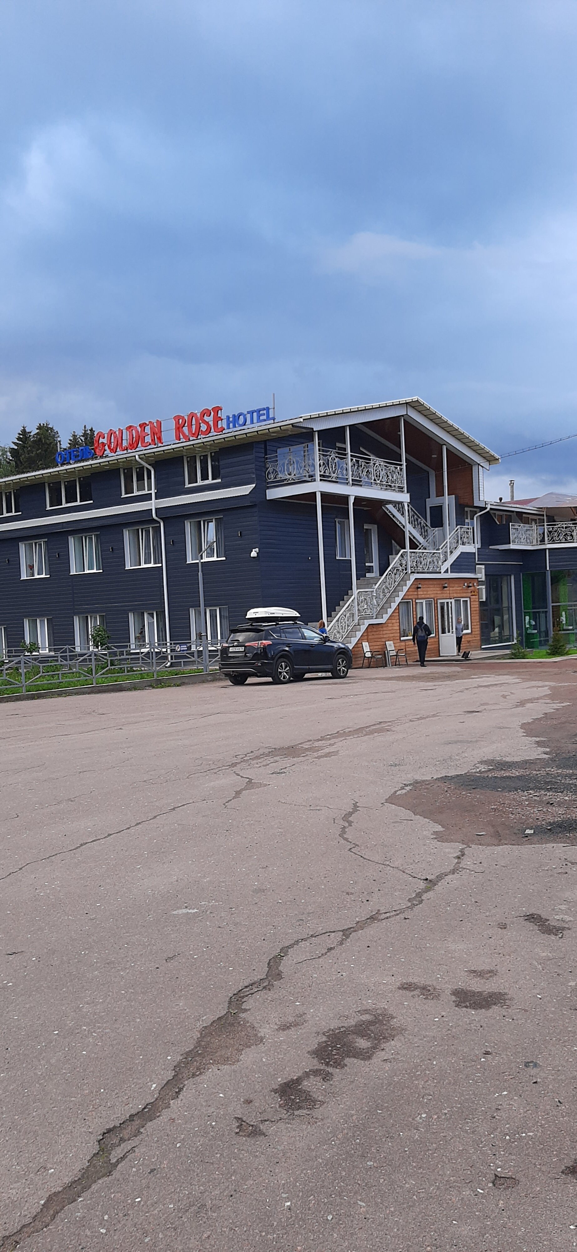 Фото Golden Rose