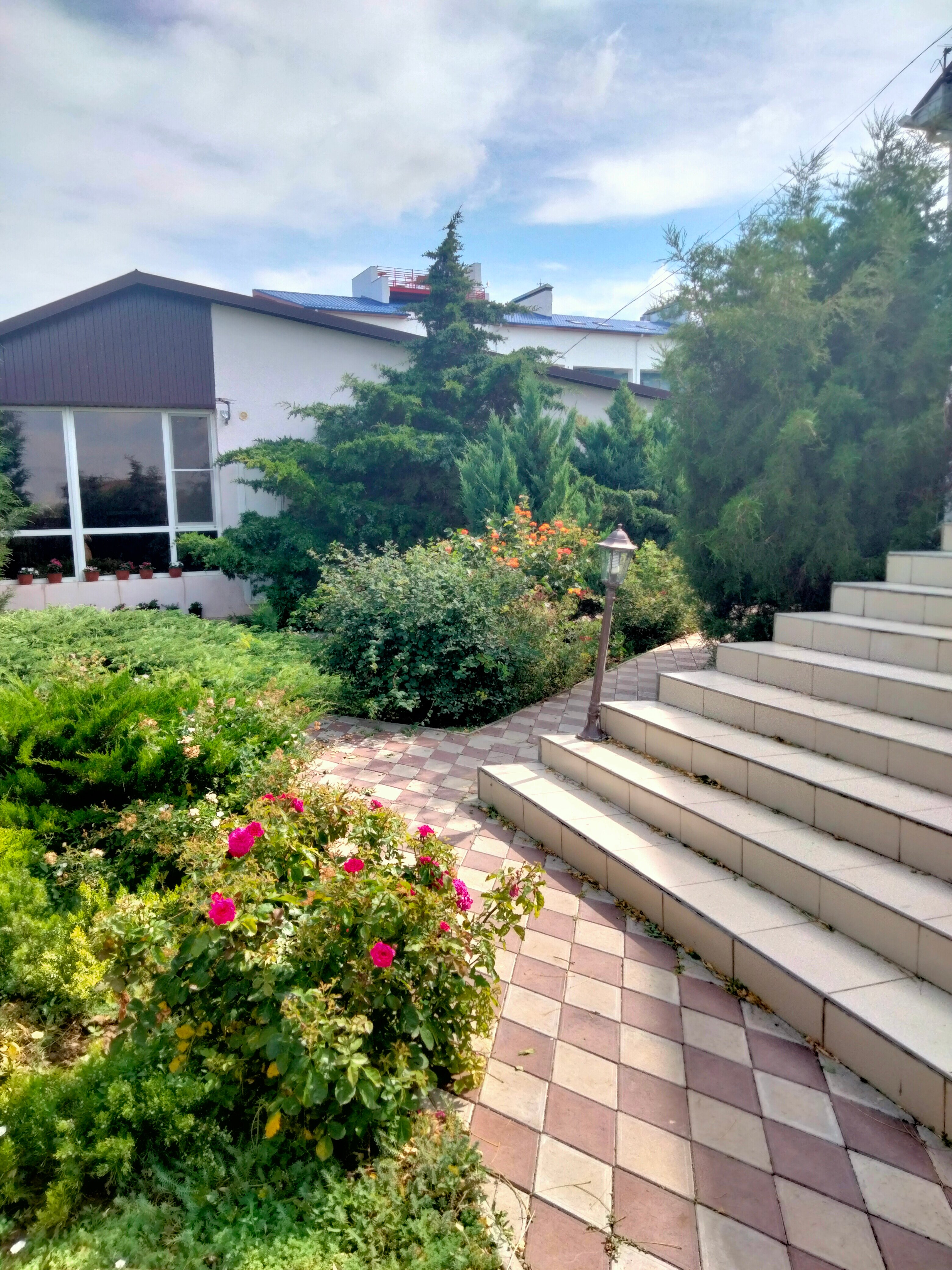 Фото Фортуна