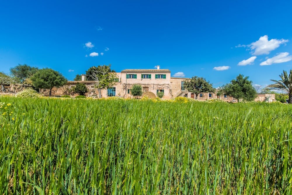 Фото Finca Agroturismo Sa Cova den Borino