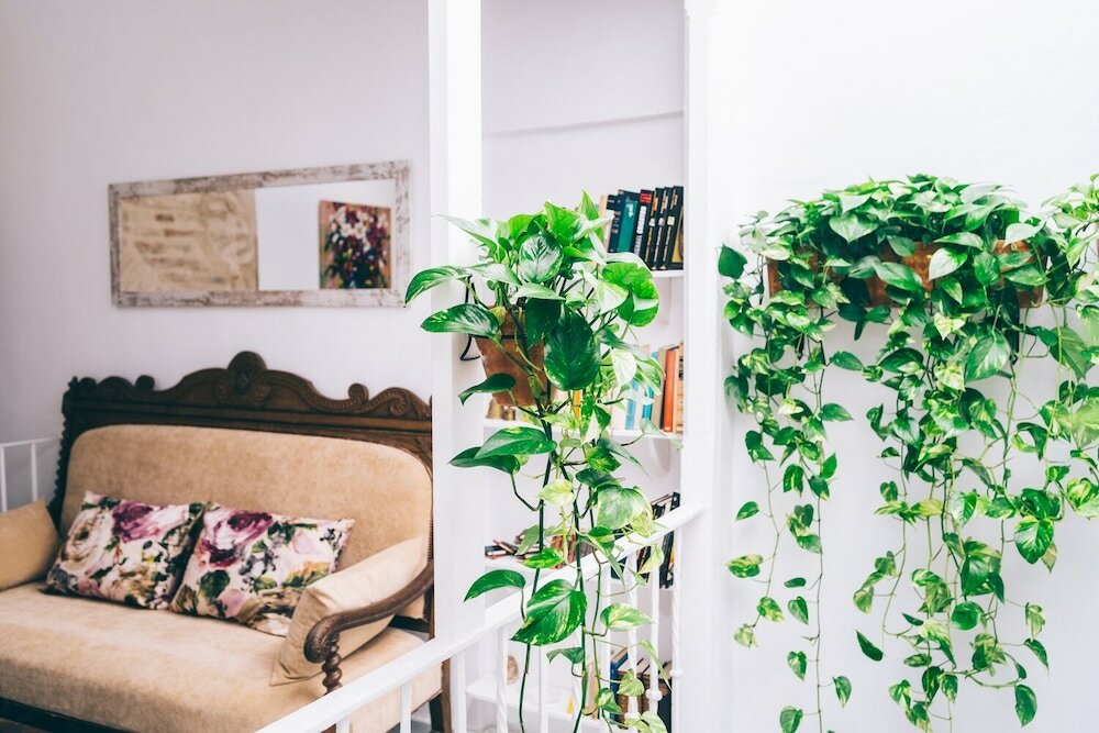 Фото Alcázar de María