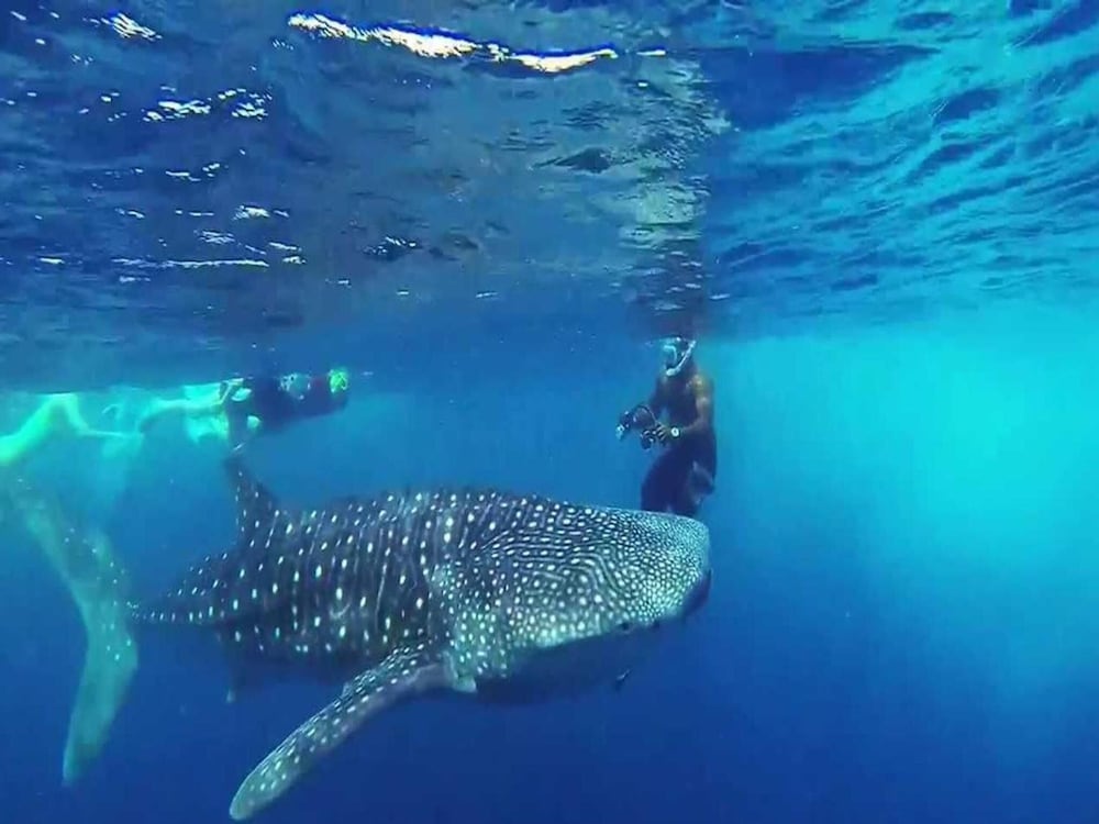 Фото Vista Beach Retreat