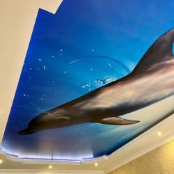 Фото Южный вайб Миракль