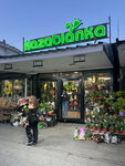 Cvećara Kazablanka (Belgrade County, Municipality of Stari Grad, Dorćol, Cara Dusana Street, 77) ، محل زهور