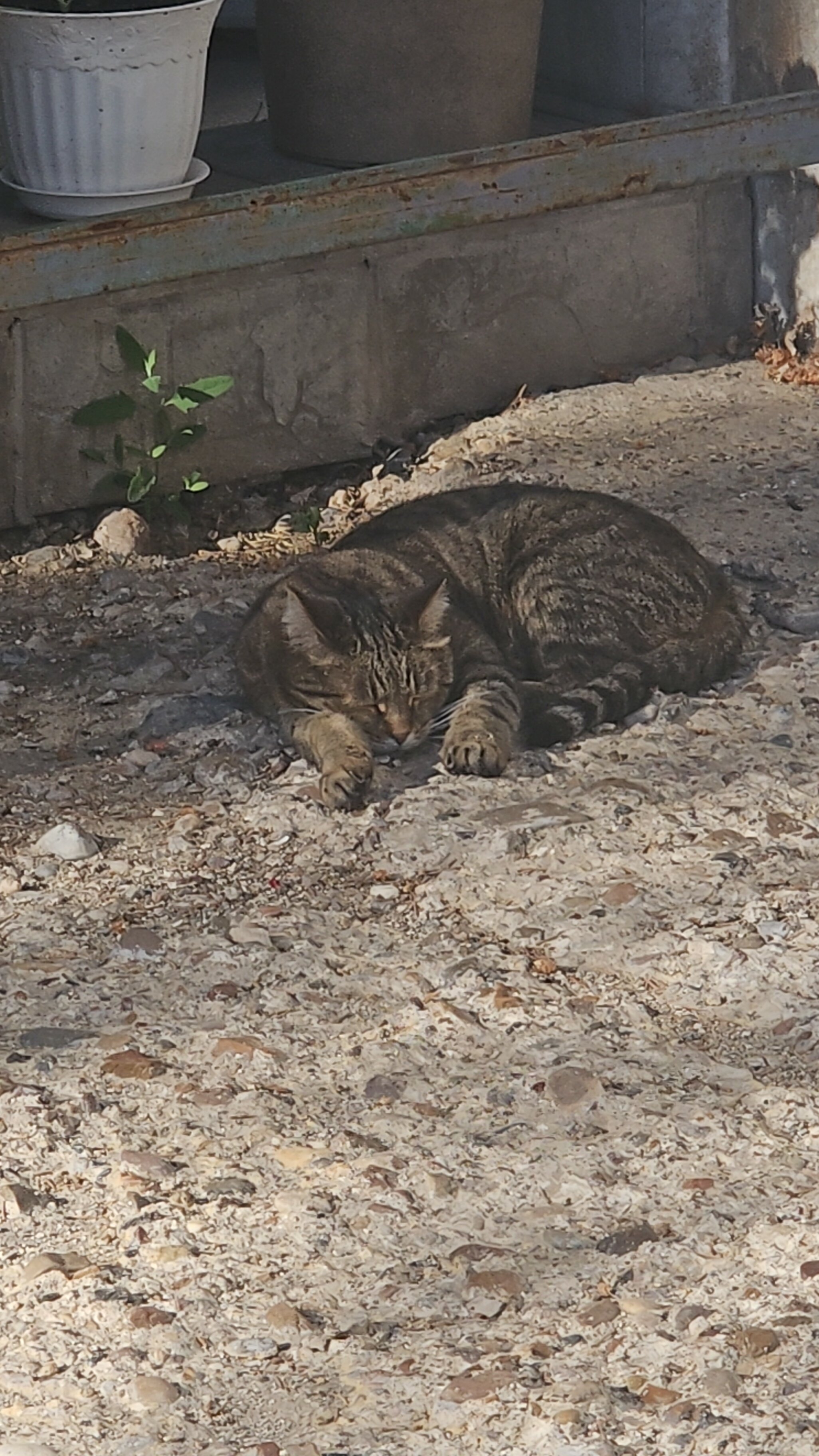 Фото Юрматы