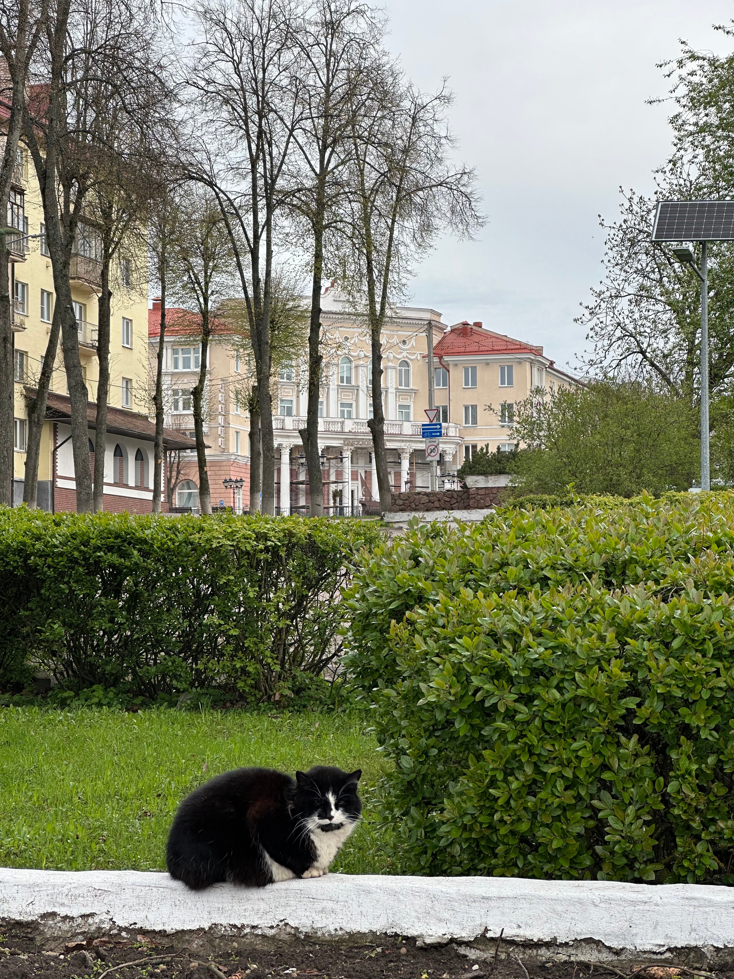 Фото Славянский