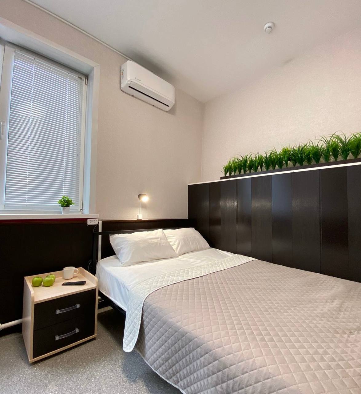 Фото Колибри